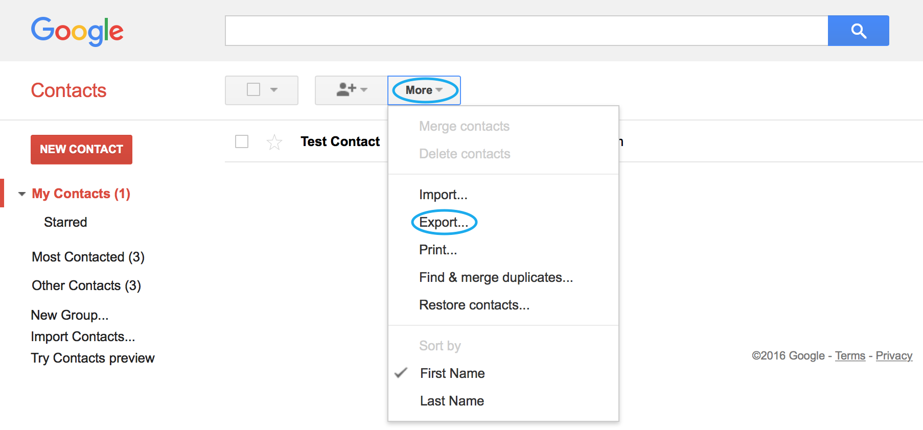 Google Contacts Import Template